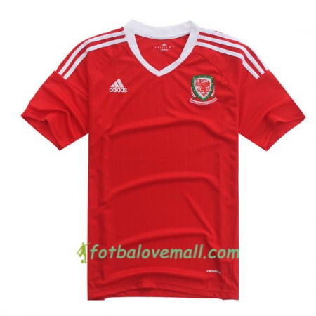 Levné Wales Domácí Fotbalové dresy Euro 2016