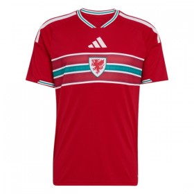 Levné Wales Domácí Fotbalové dresy Mistrovství Světa 2026 Krátký Rukáv