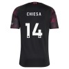 Levné Liverpool Chiesa 14 Alternativní Fotbalové dresy 2026-27 Krátký Rukáv