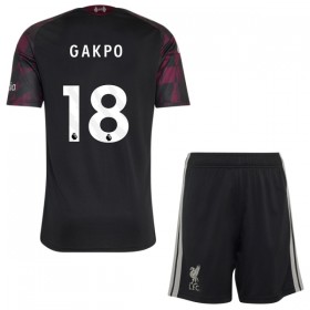 Levné Liverpool Gakpo 18 Dětské Alternativní Fotbalové dresy 2026-27 Krátký Rukáv